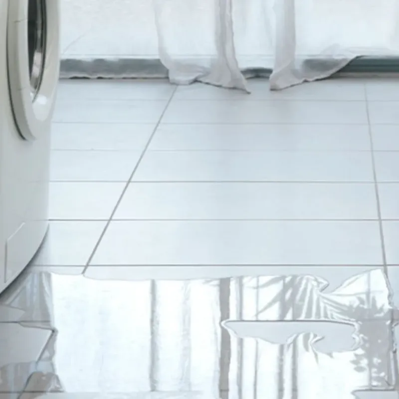 Appliance Leak Cleanup in Superior, AZ