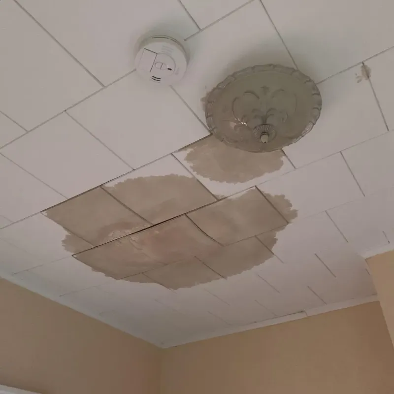 Ceiling Water Damage Repair in Superior, AZ