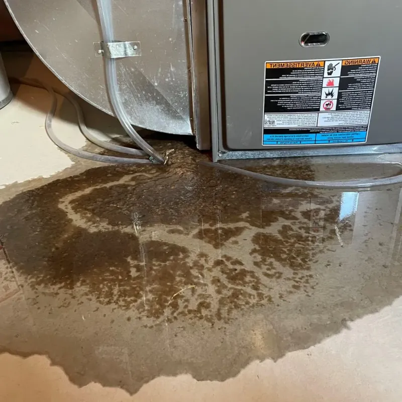 Pipe Burst and Leak Restoration in Superior, AZ